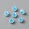 Handmade Lampwork Beads LAMP-TAC0001-05C-1