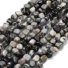 Natural Picasso Jasper Beads Strands G-K398-A01-01-2