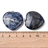 Natural Sodalite Pendants G-Z113-01P-3