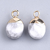 Electroplate Natural Howlite Charms G-S344-09F-2