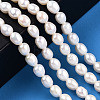 Natural Cultured Freshwater Pearl Beads Strands PEAR-N012-05O-6