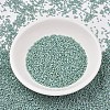 MIYUKI Delica Beads SEED-J020-DB2313-2