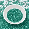 MIYUKI Delica Beads SEED-X0054-DB1813-2