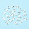 Alloy Charms TIBE-R313-049S-1