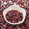 Baking Paint Glass Seed Beads SEED-S042-05B-49-2