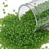 TOHO Round Seed Beads SEED-JPTR11-0306FM-1