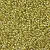 TOHO 11/0 Round Beads X-SEED-TR11-0295-2