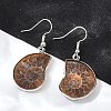 Fossil Spiral Dangle Earrings EJEW-P153-01-5