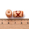 Tibetan Style dZi Beads TDZI-NH0001-E05-05D-3