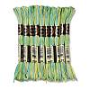 10 Skeins 6-Ply Polyester Embroidery Floss OCOR-K006-A22-1