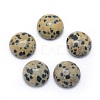 Natural Dalmatian Jasper Cabochons G-P393-R33-14mm-1