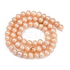 Natural Cultured Freshwater Pearl Beads Strands PEAR-I007-07Y-01B-3