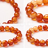 SUNNYCLUE Natural Red Agate Round Beads Stretch Bracelets BJEW-PH0001-10mm-16-4