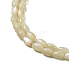 Natural Trochus Shell Beads Strands SSHEL-H072-02B-3