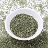 MIYUKI Delica Beads SEED-J020-DB2163-2