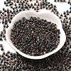 Transparent Glass Round Seed Beads X1-SEED-B001-05A-01-2