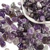 Natural Amethyst Chip Beads G-M364-12B-3