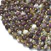 Natural Plum Blossom Tourmaline Beads Strands G-K389-E87-01-3