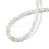 Natural Freshwater Shell Beads Strands BSHE-T009A-01A-2