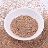MIYUKI Delica Beads X-SEED-J020-DB0434-2