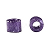 Cylinder Seed Beads SEED-H001-H13-4