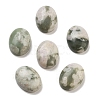 Natural Peace Jade Cabochons G-G145-01B-55-1