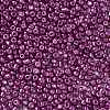 8/0 Glass Seed Beads SEED-A017-3mm-1121-2