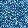 MIYUKI Delica Beads X-SEED-J020-DB1709-3