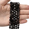 Natural Silver Obsidian Beads Strands G-Z119-A11-02-2