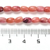 Natural Dolomite Beads Strands G-F765-A05-01-5