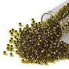 TOHO Round Seed Beads X-SEED-TR08-0747-1