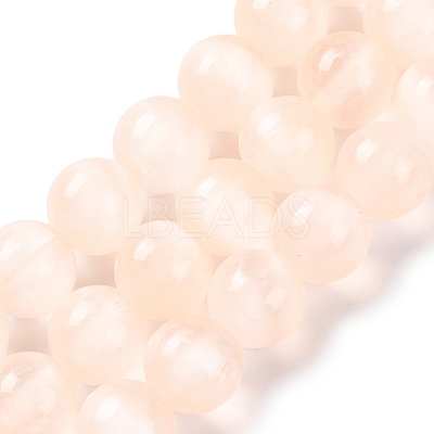 Natural Selenite Beads Strands G-C142-01A-08-1