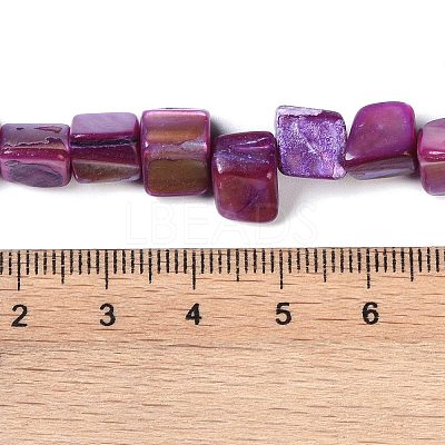 Dyed Natural Freshwater Shell Beads Strands X-SHEL-P016-01D-1