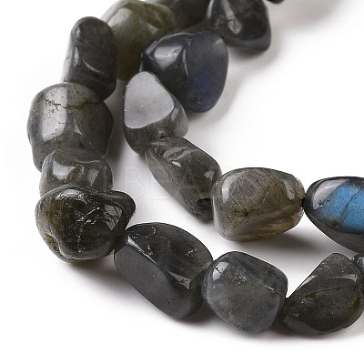 Natural Larvikite Beads Strands G-A208-08-1