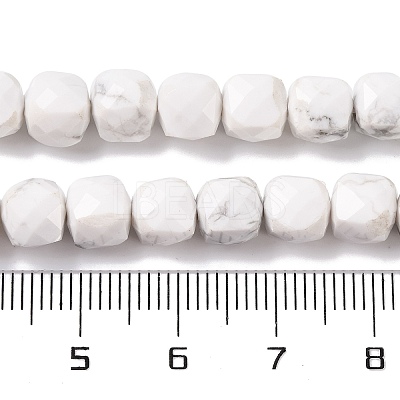 Natural Howlite Beads Strands G-G001-B03-06-1