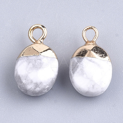 Electroplate Natural Howlite Charms G-S344-09F-1