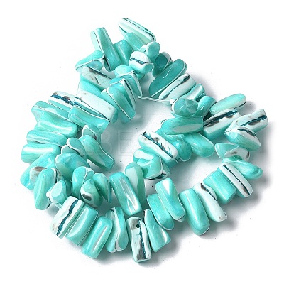 Dyed Natural Trochus Shell Beads Strands X-SSHEL-C013-09M-1