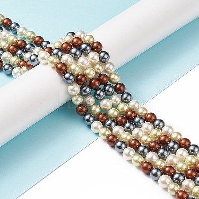 Shell Pearl Bead Strands BSHE-L017-18-1