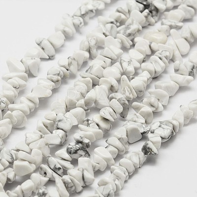 Natural Howlite Beads Strand G-F328-05-1
