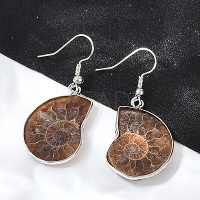 Fossil Spiral Dangle Earrings EJEW-P153-01-1