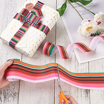 2Rolls 2 Styles Stripe Pattern Printed Polyester Grosgrain Ribbon OCOR-TA0001-37O-1