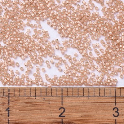 MIYUKI Delica Beads X-SEED-J020-DB0622-1