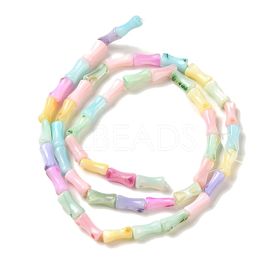 Rainbow Color Dyed Natural Freshwater Shell Beads Strands X1-SHEL-G018-02C-1