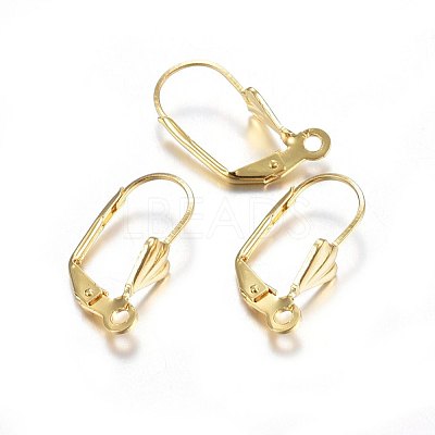 304 Stainless Steel Leverback Earring Findings STAS-P210-32G-1