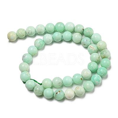 Grade A Natural Chrysoprase Beads Strands G-R494-A02-04-1