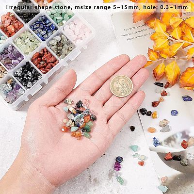 Natural Gemstone Chips Beads G-NB0001-53-1
