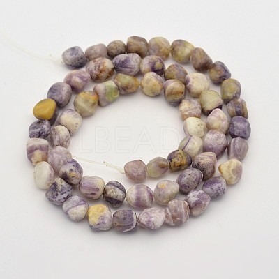Natural Gemstone Bead Strands G-P070-49-1