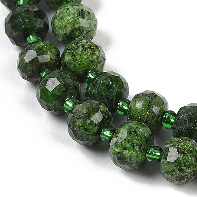 Natural Sesame Jasper Dyed Beads Strands G-H057-A21-07-1