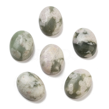 Natural Peace Jade Cabochons G-G145-01B-55-1