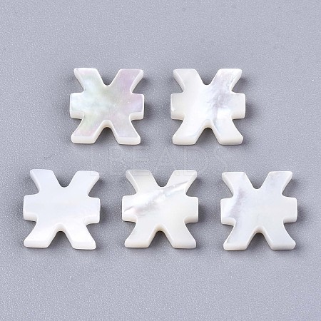 Natural White Shell Beads X-SSHEL-ZX004-02E-1
